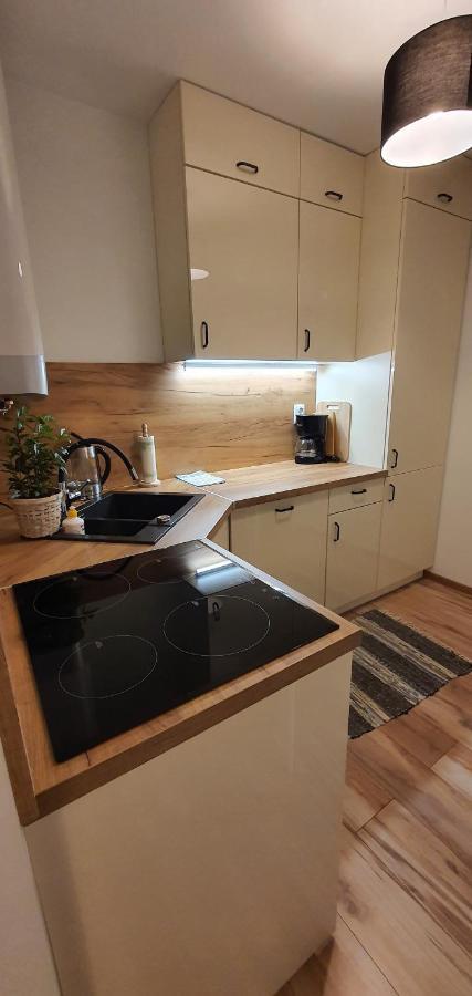 Apartament Lakowa ポラニツァ・ズドゥルイ エクステリア 写真